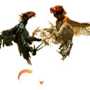 S6